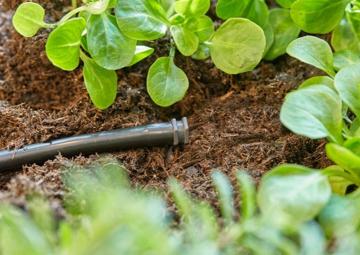 Gardena MDS Plug 4.6mm for Micro-Drip-System Drip Irrigation Line Sealing