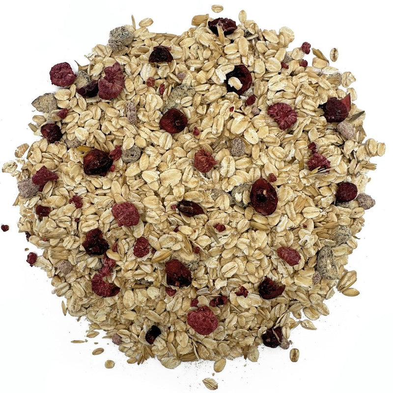 Natures Grub Afternoon Oats Chicken Treat Porridge with Cranberries