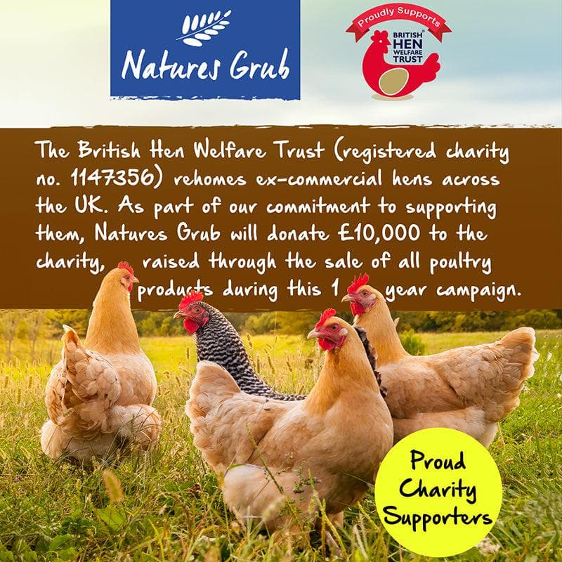 Natures Grub Nature's Snap 'N' Share Treat Bar For Birds Natural Oats Seeds