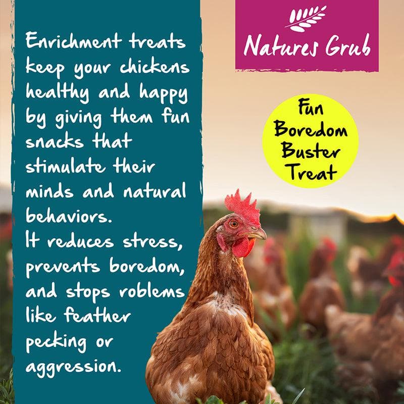 Natures Grub Nature's Snap 'N' Share Treat Bar For Birds Natural Oats Seeds