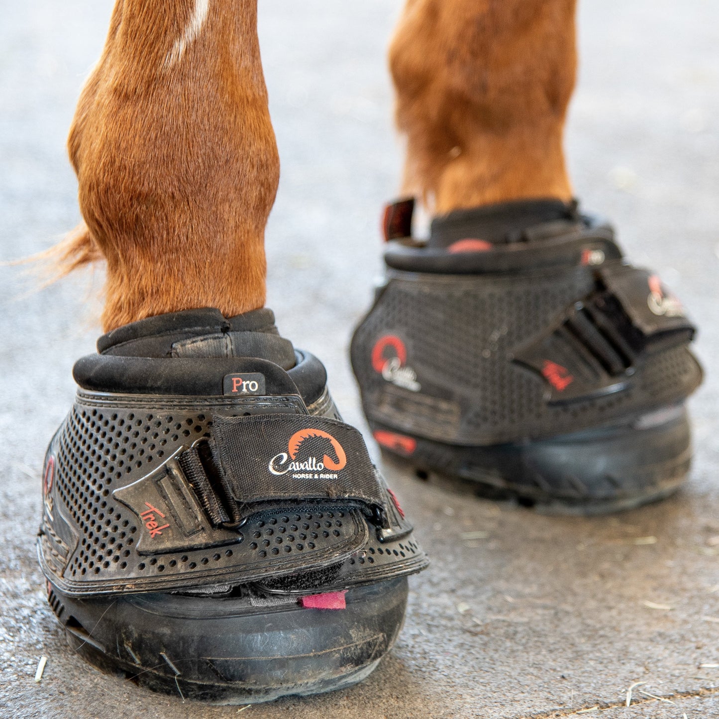 Cavallo Inc Horse Trek Pro Boot Hoof Durable Comfortable Protection Support