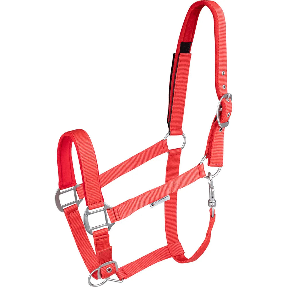 Waldhausen Horse Safety Halter with Advanced Touch Tape Fastener