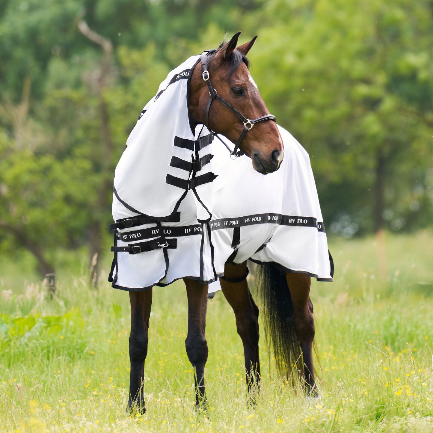 HV Polo Horse Nena Fly Blanket For Horses With Detachable Neck and Belly Flap